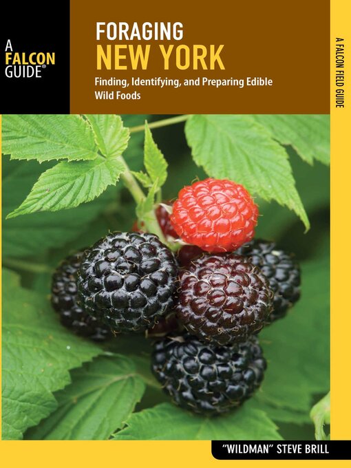 Cover image for Foraging New York